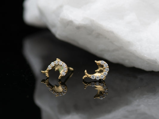 14k solid gold Dolphin stud earrings