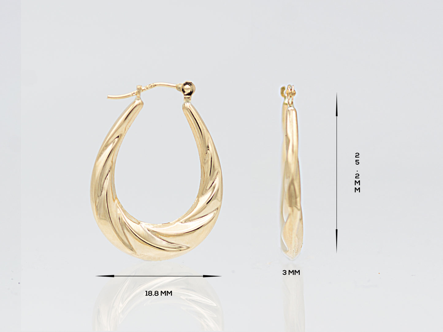 Oval Twisted Hoop Earrings