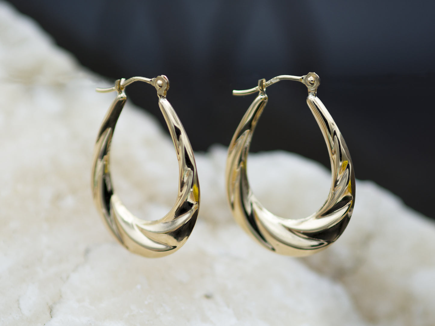 Oval Twisted Hoop Earrings